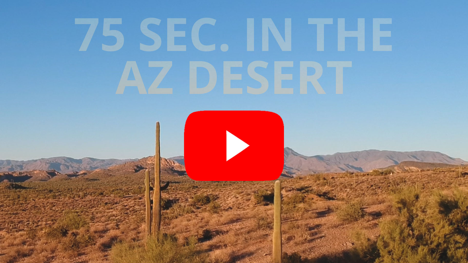 AZ Desert cover - Saguaro cactus and mountains in Phoenix Valley